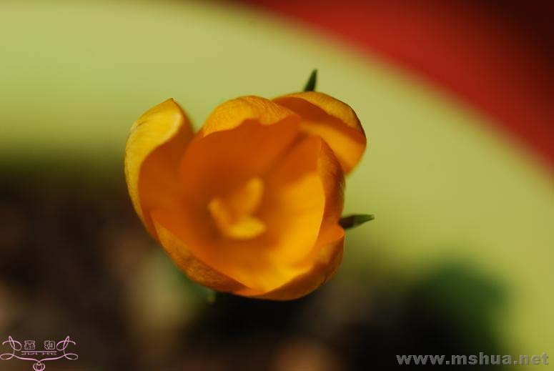 DSC_0119 ����.jpg