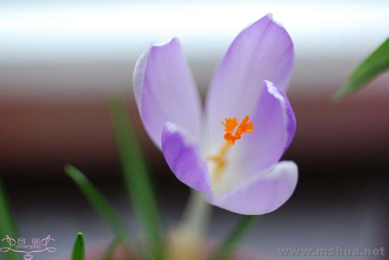 DSC_0101 ����.jpg