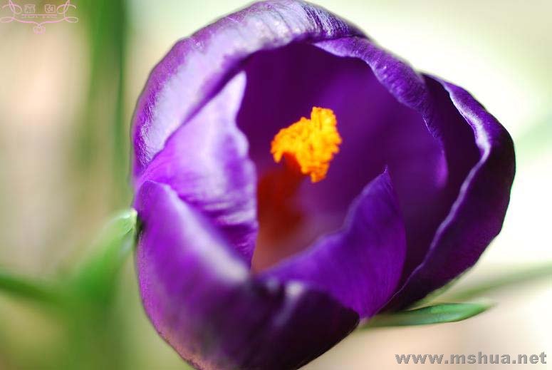 DSC_0084 ����.jpg