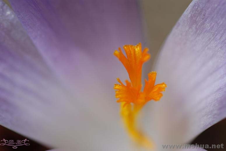 DSC_0079 ����.jpg