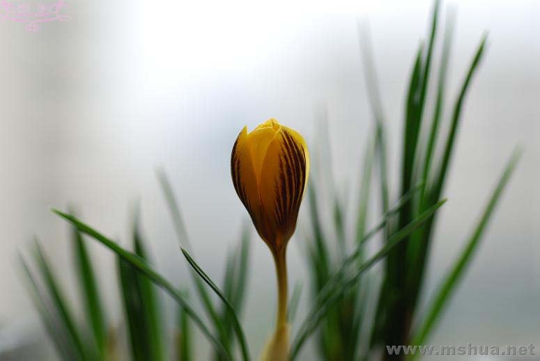 DSC_0078 ����.jpg