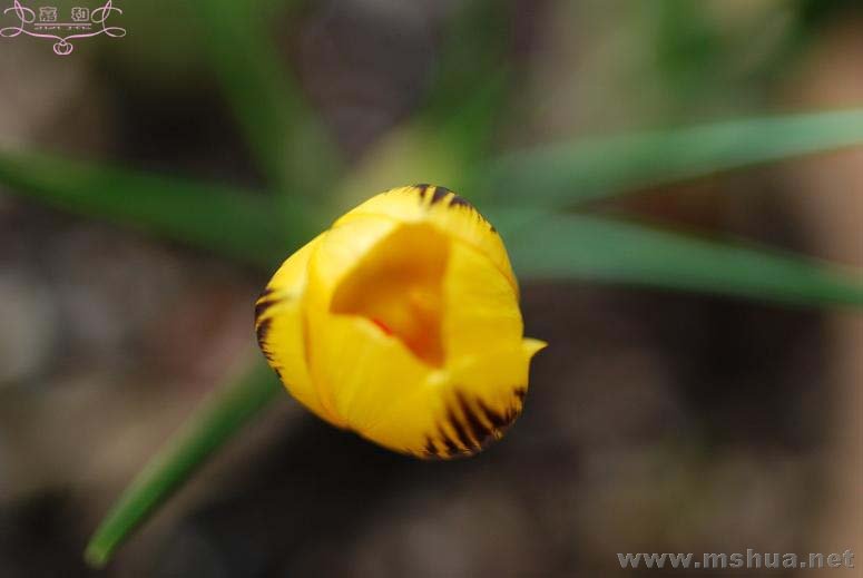 DSC_0104 ����.jpg