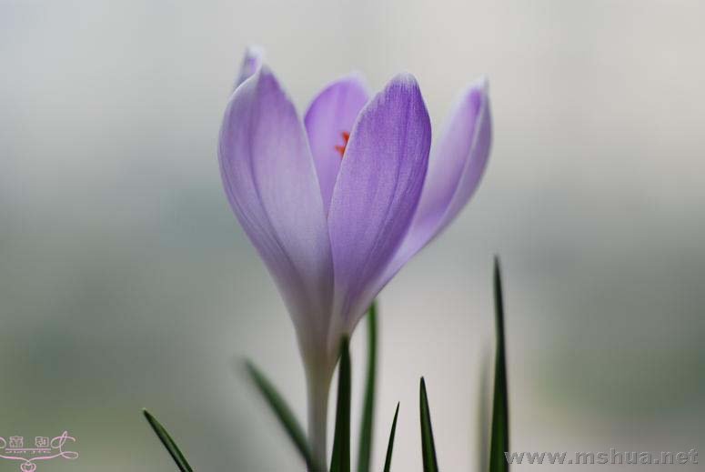 DSC_0075 ����.jpg