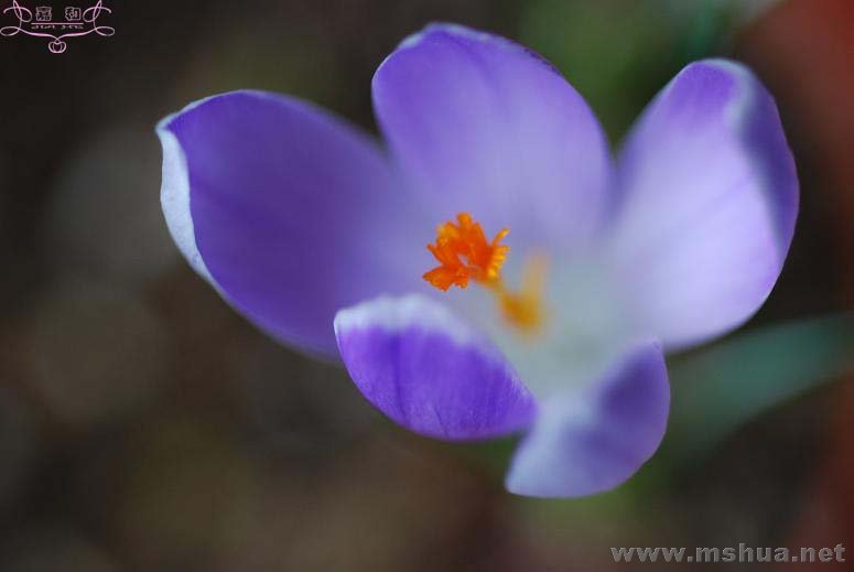 DSC_0072 ����.jpg