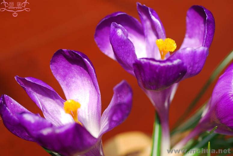 DSC_0114 ����.jpg