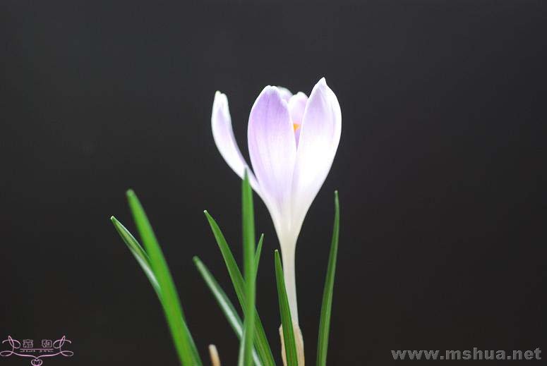 DSC_0083 ����.jpg