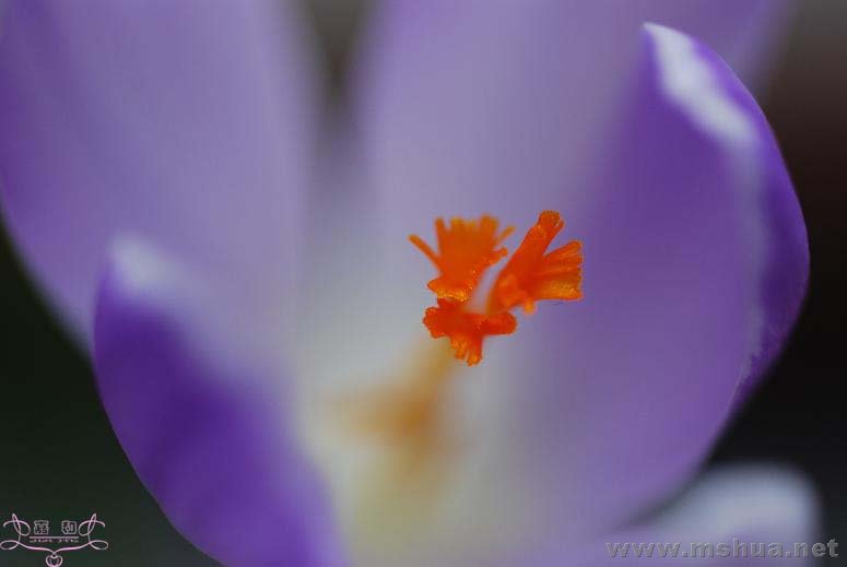 DSC_0102 ����.jpg