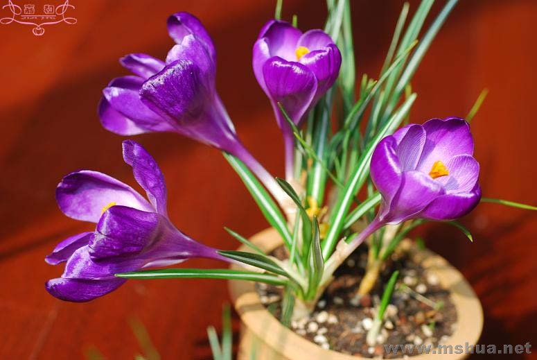 DSC_0120 ����.jpg