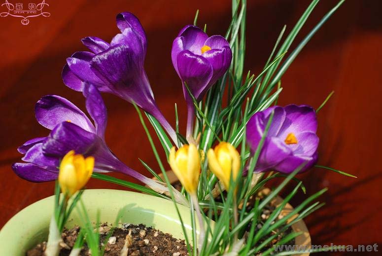 DSC_0121 ����.jpg