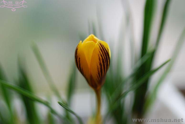 DSC_0080 ����.jpg