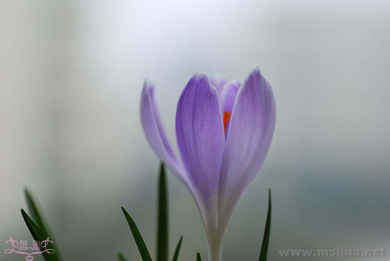 DSC_0082 ����.jpg