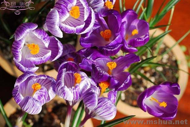 DSC_0123 ����.jpg