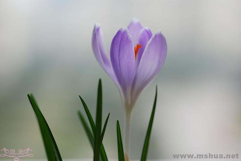 DSC_0076 ����.jpg