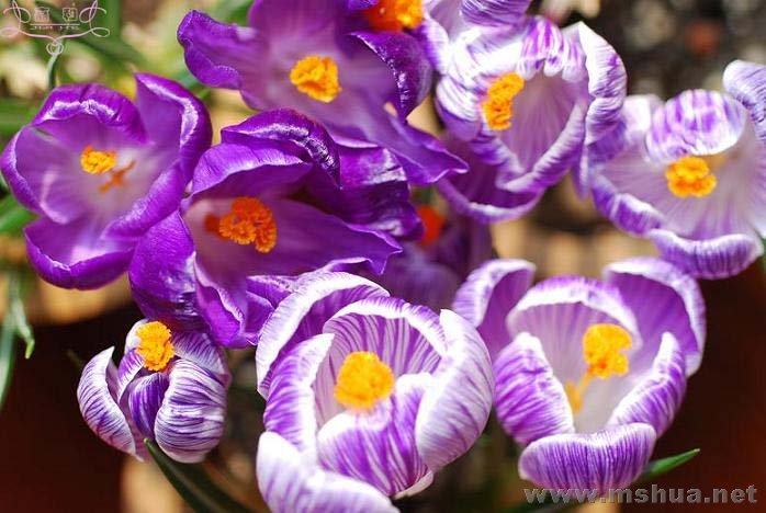 ��1 ����.jpg