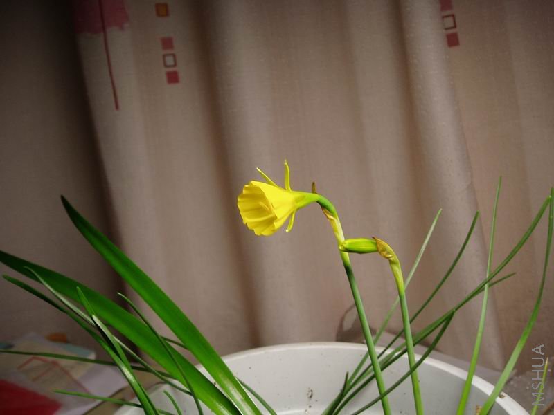 080311��Χȹ2.JPG