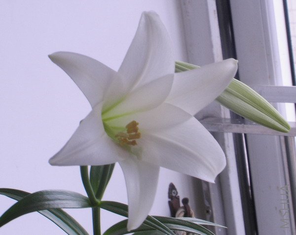 DVC04544.jpg