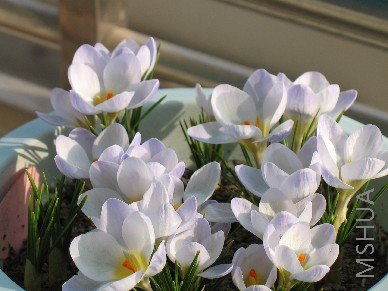 ������ļ���