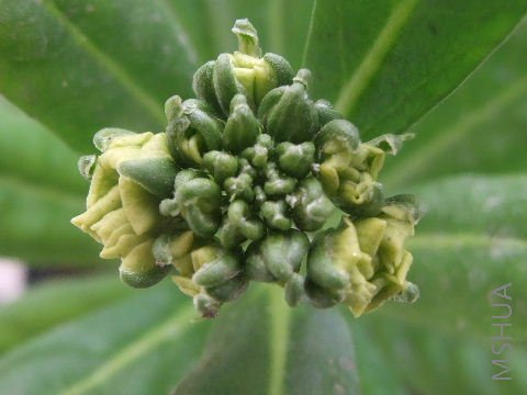 �ۿ���Ҫ������