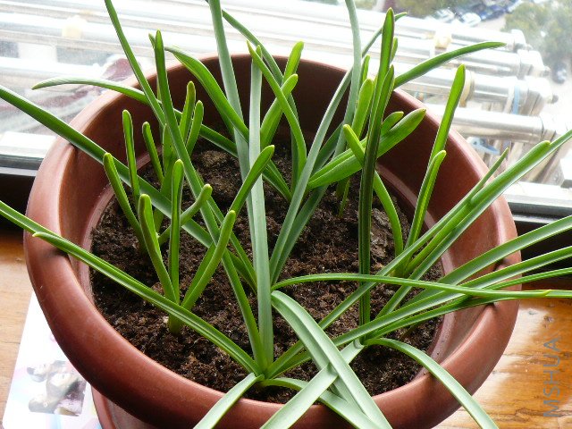 ������һ���