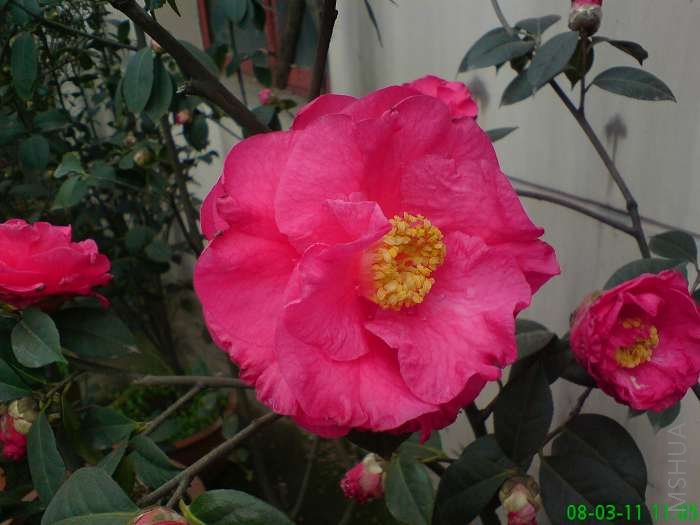 ������Ĳ軨 190.jpg