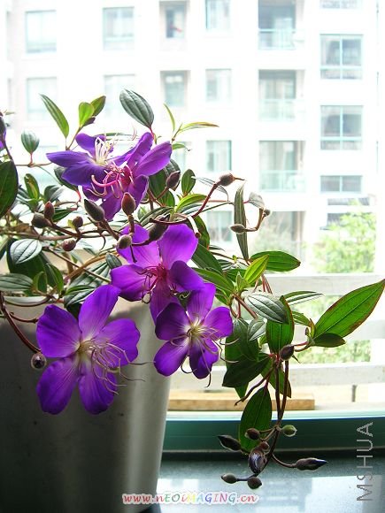 DSCN9133.JPG