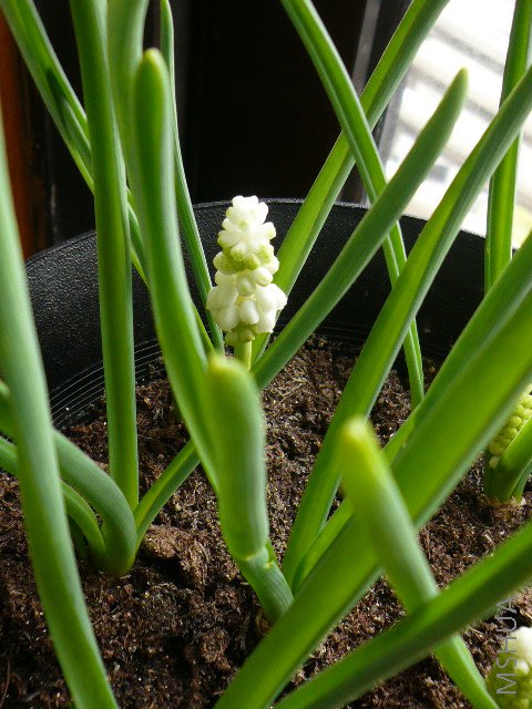 ͤͤ������ССС������˭������ССС����