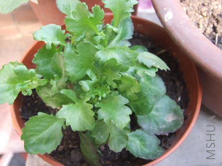 3��7�� 034.jpg