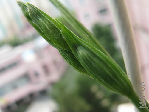 IMG_0596_��С��С.jpg