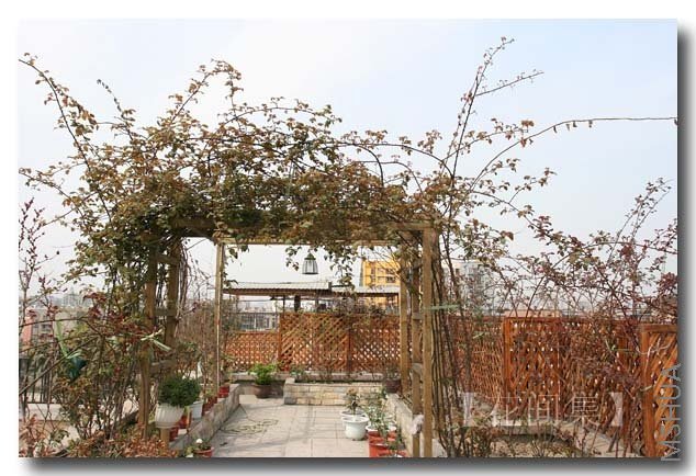 IMG_8962 ����.jpg