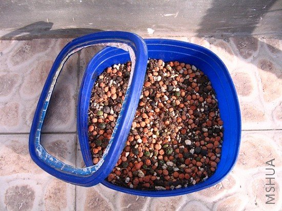 ���� IMG_1030.jpg