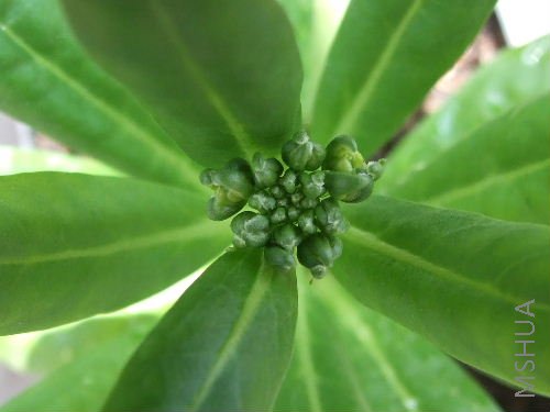 ���˻������᲻��������