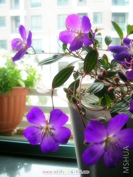 DSCN9128.JPG