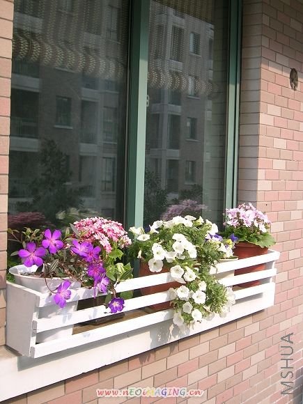 DSCN9230.JPG
