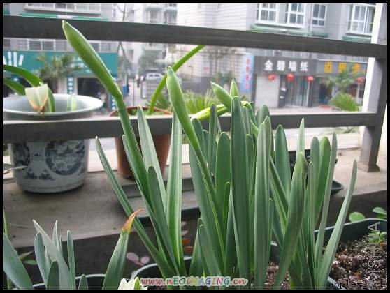 ������Ƭ20080313 014.jpg