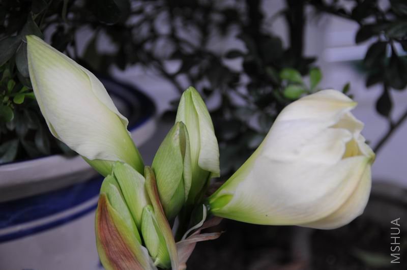 ������С zdh0312-2.jpg