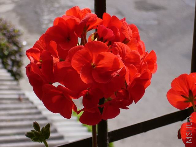 P1000031.JPG