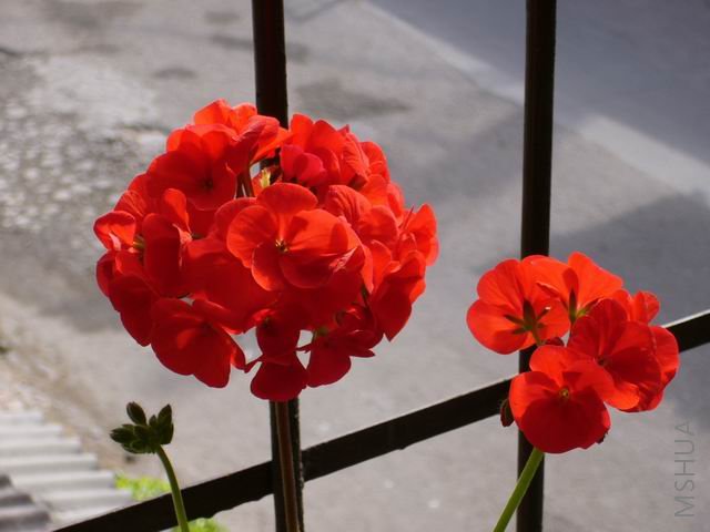 P1000030.JPG