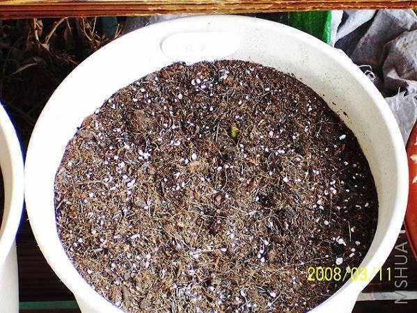 100_20112.jpg