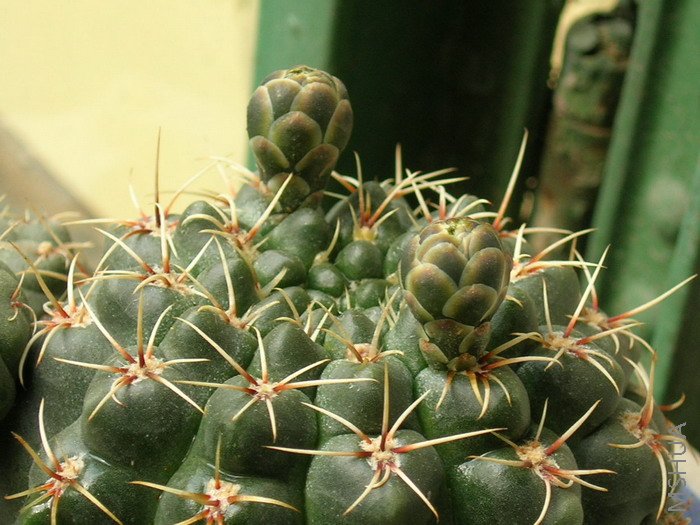 DSCN2356.jpg