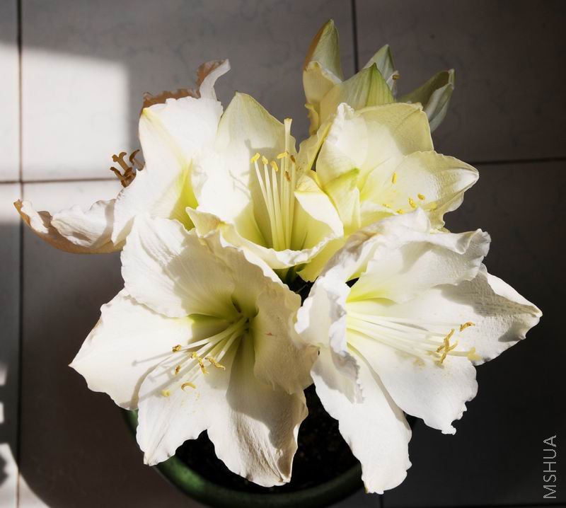 ������С zdh0317-2.jpg