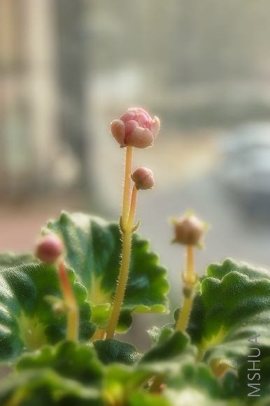 DSC_0026.jpg