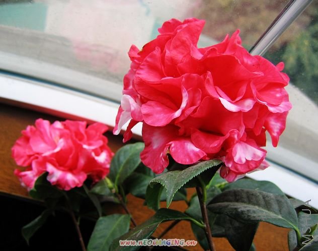 ��   ��    2007 146.jpg