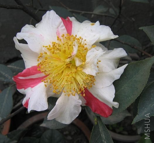 ��   ��    2007 198.jpg