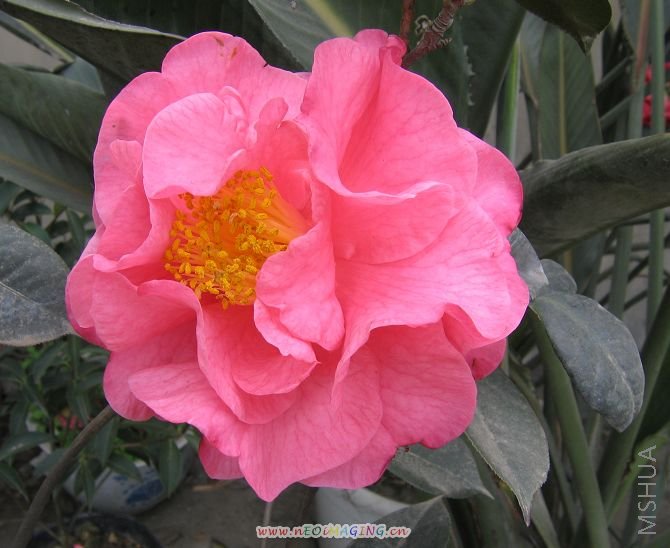 ��   ��    2007 196.jpg