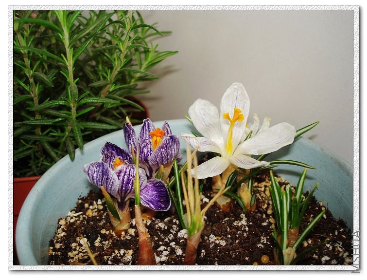 С��,����ô�����������?