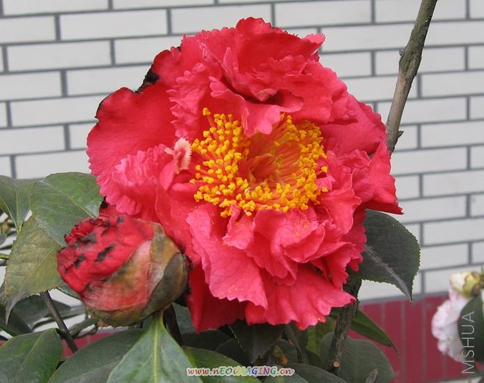 ��   ��    2007 225.jpg