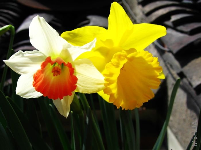 �ڶ�����򣬻����Աȵ�һ���С