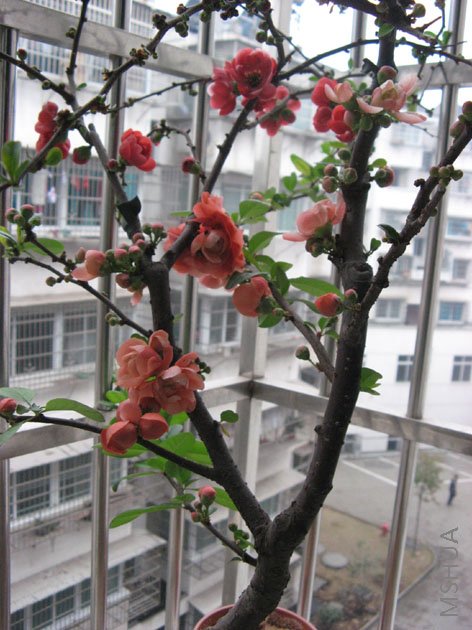 ���˺ü����ˣ��貢����