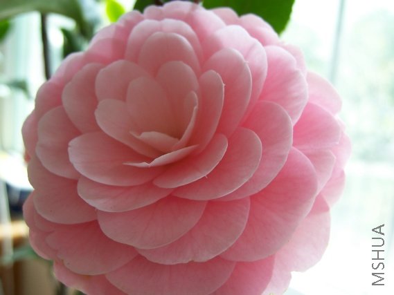 С�Һ�1 (10).jpg