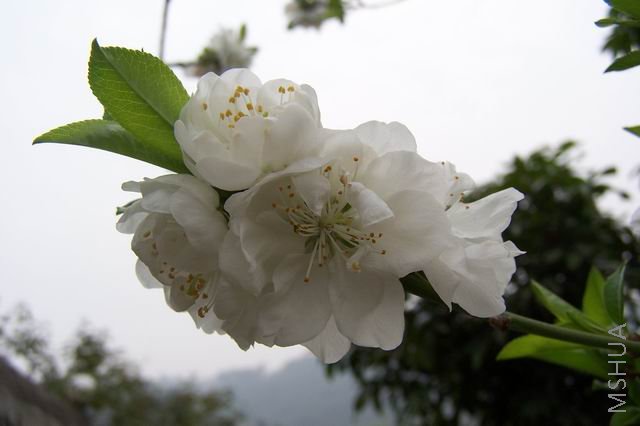 ������С 080322 011.jpg